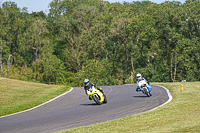 Vintage-motorcycle-club;eventdigitalimages;mallory-park;mallory-park-trackday-photographs;no-limits-trackdays;peter-wileman-photography;trackday-digital-images;trackday-photos;vmcc-festival-1000-bikes-photographs